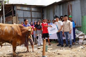 Idul Adha, YBM PLN Salurkan 1.444 Hewan Kurban Ke Seluruh Indonesia