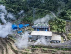 PLN Luncurkan Laporan TCFD Pertama untuk Mendukung Transisi Energi Rendah Karbon