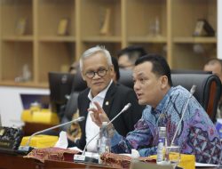 Komisi VI DPR RI Dukung Usulan PMN PLN untuk Program Listrik Desa
