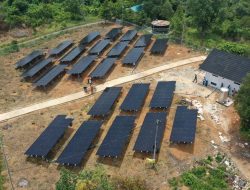 Akselerasi Penggunaan Listrik Hijau, PLN Lakukan _Commissioning_ Pembangkit Listrik Tenaga Surya di Pulau Panjang Provinsi Kepulauan Riau