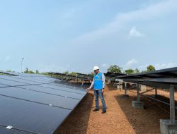 Pasok Energi Bersih, PLN Bangun PLTS untuk Melistriki Pulau Akar Batam Kepulauan Riau