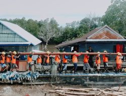 78 Tahun PLN Hadir Listriki Indonesia, Rasio Elektrifikasi Nasional Capai 99,74%