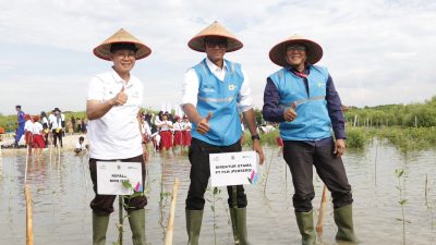 Tegakkan Prinsip Operasional yang Berkelanjutan, PLN Restorasi 308 Hektar Lahan Tandus Jadi Paru-Paru Baru