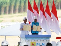 Kolaborasi PLN dan Otorita IKN Siapkan Green National Capital City di IKN Nusantara