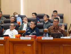 Dongkrak Bauran EBT di Tanah Air, Komisi VII DPR Dukung Penuh PLN Kembangkan _Super Grid, Smart Grid_ dan _Smart Control Center_