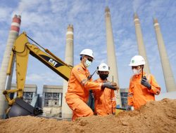 Di COP28 Dubai, PLN-Kemenkomarves Luncurkan Program STAB dan PERTIWI,  Kembangkan Biomassa di Tanah Air