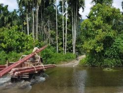 Sepanjang 2023, Pemerintah Melalui PMN Terangi 76.900 Desa Kelurahan di Seluruh Indonesia dengan Listrik PLN