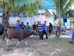 Rayakan Idul Adha 1445 H, PLN UID RKR Salurkan 1.840 Paket Daging Kurban di Riau dan Kepulauan Riau