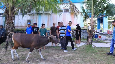 Rayakan Idul Adha 1445 H, PLN UID RKR Salurkan 1.840 Paket Daging Kurban di Riau dan Kepulauan Riau