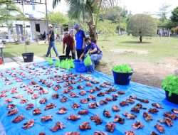 Idul Adha 1445 H, Masyarakat Sambut Bahagia Pembagian Paket Daging Kurban oleh PLN UID RKR