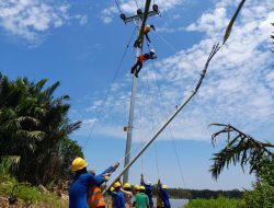Jelang HUT RI, 13 Desa di Kabupaten Sintang Kini Terang dengan Listrik PLN