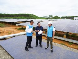 Komitmen Transisi Energi, PLN Raih Anugerah Ekonomi Hijau untuk Infrastruktur EBT Ramah Lingkungan