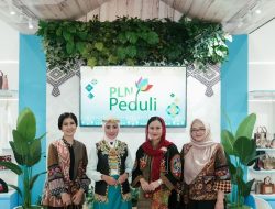 Kriyanusa 2024 di JCC, Ada Mitra Binaan PLN dan UMKM dari Berbagai Daerah