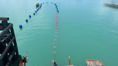 Kebut Dedieselisasi, PLN Berhasil Operasikan Saluran Kabel Laut 20 kV yang Menghubungkan Pulau Dabo Singkep, Selayar dan Lingga di Kepri