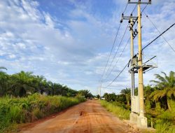 Realisasikan PMN, PLN Berhasil Terangi 54 KK Warga Dusun Terpencil di Kabupaten Rokan Hilir Riau