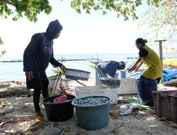 Layanan SuperSUN PLN, Inovasi Listrik Bersih 24 Jam, Dukung Kemajuan Masyarakat Kepulauan di Sulawesi Selatan
