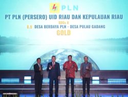 ISDA Award 2024: PLN UIDRKR Cetak Prestasi, Raih GOLD Kategori Economy Pillar