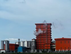 PLN Dorong Pertumbuhan Ekonomi, Sepanjang Tahun 2024 Konsumsi Listrik Sektor Industri Tembus 3.442 GWh di Riau dan Kepulauan Riau