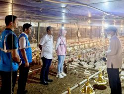 Sepanjang 2024, PLN Dorong Pertumbuhan Konsumsi Listrik hingga 17,78 TWh