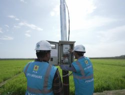 Keandalan dan Keterjangkauan Listrik Hadirkan _Multiplier Effect_ bagi Masyarakat, PLN Raih Apresiasi Literasi Nusantara 2025