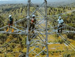 PLN Operasikan Jalur Transmisi 150 kV dari Kolonedale ke Bungku, Perkuat Keandalan Sistem Kelistrikan Sulteng dan Gantikan Mesin Diesel
