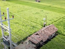 Semester I 2025, Konsumsi Listrik Nasional Tumbuh, PLN Catat Penjualan 155,62 TWh