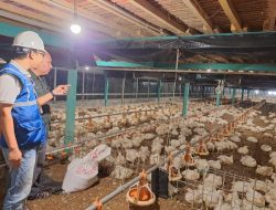Utamakan Daya Beli Masyarakat, Pemerintah Jaga Tarif Listrik Tetap Terjangkau Sepanjang 2025