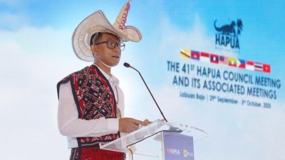 PLN Dorong Interkoneksi ASEAN Power Grid untuk Akselerasi Transisi Energi Bersih